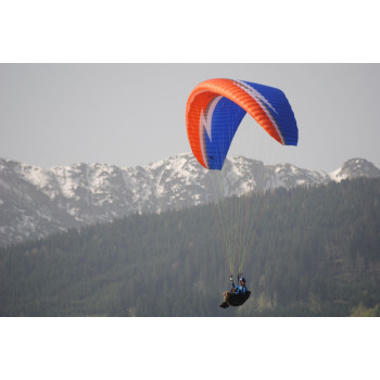 Swing Arcus 7